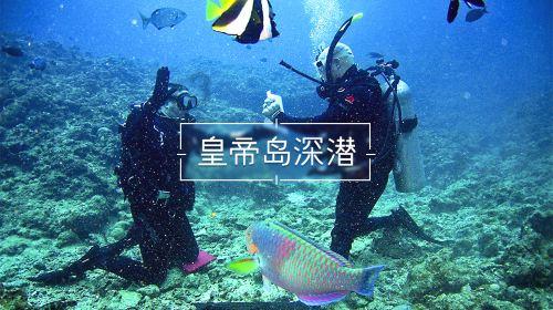 make it+形容词+ for sb.+ to do sth.造句有哪些？