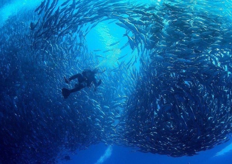 甜蜜糖果岛